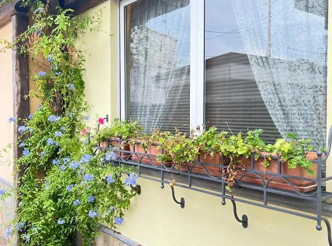 Sea Дом отдыха *