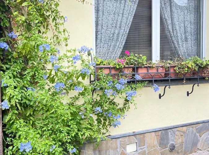 Sea Сорренто